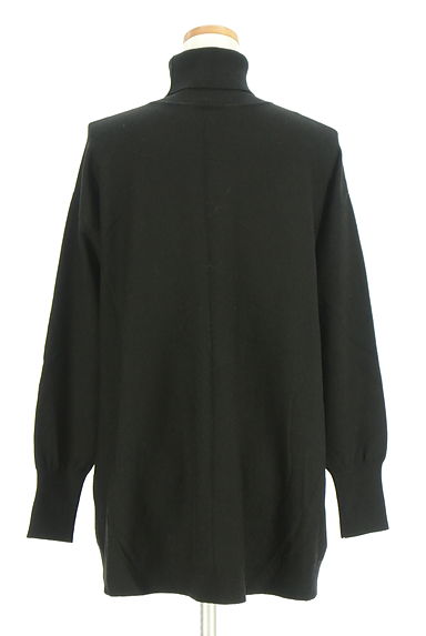 LE CIEL BLEU（ルシェルブルー）の古着「タートルネックAラインミドルニット（ニット）」大画像２へ