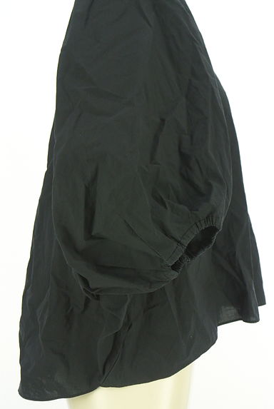 DRESSTERIOR（ドレステリア）の古着「ボリュームドルマンブラウス（カットソー・プルオーバー）」大画像５へ