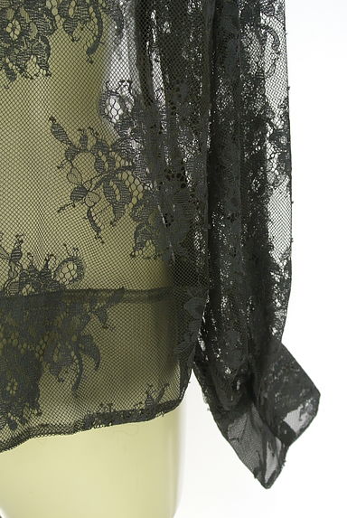 クリックで大画像表示 TOMORROWLAND(トゥモローランド)の古着「総レースブラウス(カットソー・プルオーバー)」大画像5へ