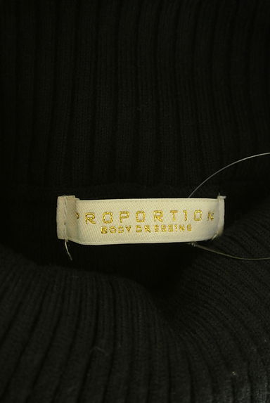 PROPORTION BODY DRESSING（プロポーションボディドレッシング）の古着「シフォンリボン付きタートルネックニットトップス（ニット）」大画像６へ