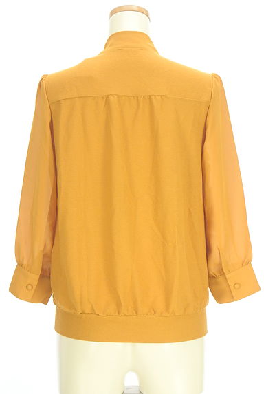 INDIVI（インディヴィ）の古着「シフォン切替ボウタイカットソー（カットソー・プルオーバー）」大画像２へ