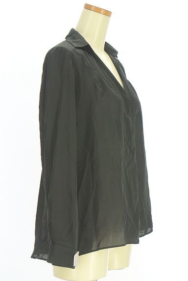 INDIVI（インディヴィ）の古着「スキッパー襟シアーブラウス（カットソー・プルオーバー）」大画像４へ