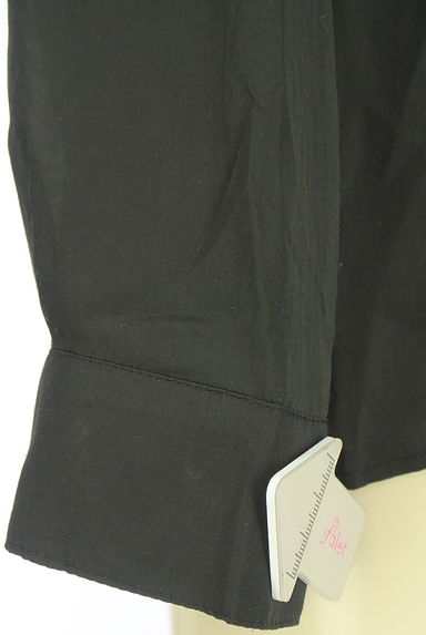 INDIVI（インディヴィ）の古着「スキッパー襟シアーブラウス（カットソー・プルオーバー）」大画像５へ