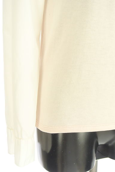 クリックで大画像表示 axes femme(アクシーズファム)の古着「別地切替カットソー(カットソー・プルオーバー)」大画像5へ