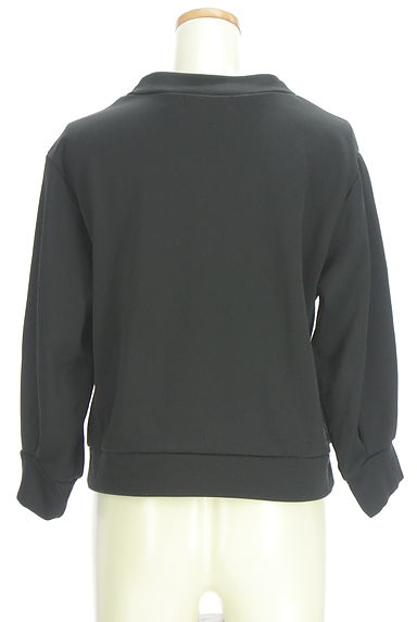 クリックで大画像表示 FENNEL(フェンネル)の古着「ボリューム袖スウェット(カットソー・プルオーバー)」大画像2へ