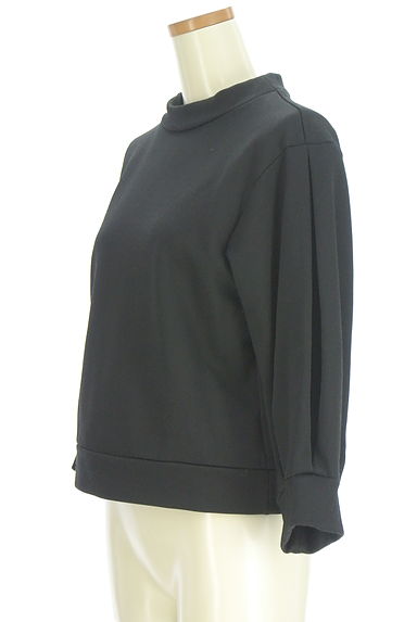 クリックで大画像表示 FENNEL(フェンネル)の古着「ボリューム袖スウェット(カットソー・プルオーバー)」大画像3へ