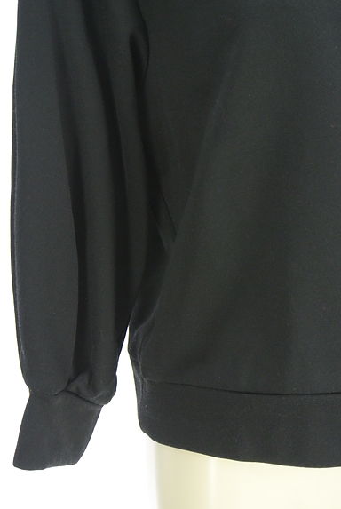 クリックで大画像表示 FENNEL(フェンネル)の古着「ボリューム袖スウェット(カットソー・プルオーバー)」大画像5へ