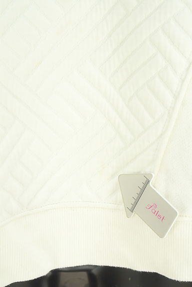 SCOT CLUB（スコットクラブ）の古着「サイドスリットスウェット（スウェット・パーカー）」大画像５へ