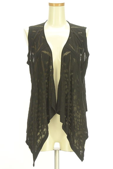 HIROKO BIS（ヒロコビス）の古着「シアーニットジレ（ベスト・ジレ）」大画像１へ