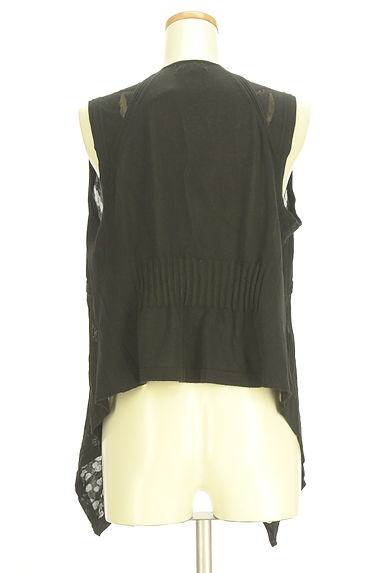 HIROKO BIS（ヒロコビス）の古着「シアーニットジレ（ベスト・ジレ）」大画像２へ