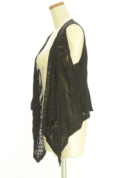 HIROKO BIS（ヒロコビス）の古着「シアーニットジレ（ベスト・ジレ）」大画像３へ