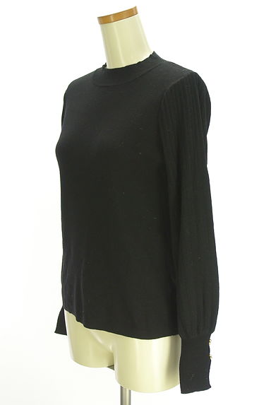 NATURAL BEAUTY BASIC（ナチュラルビューティベーシック）の古着「ラインストーン付きボリューム袖ニット（ニット）」大画像３へ