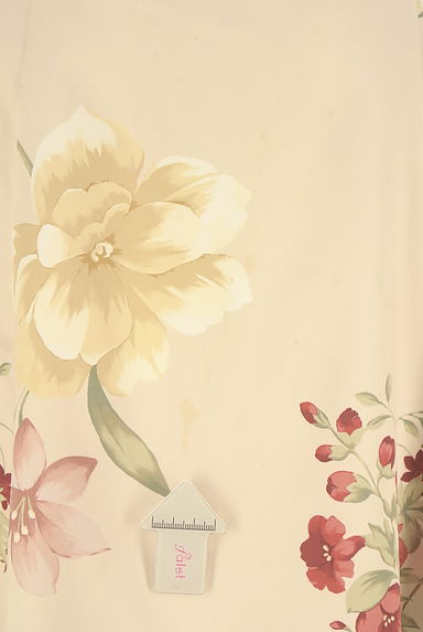 Apuweiser riche（アプワイザーリッシェ）の古着「花柄ロングフレアスカート（ロングスカート・マキシスカート）」大画像５へ