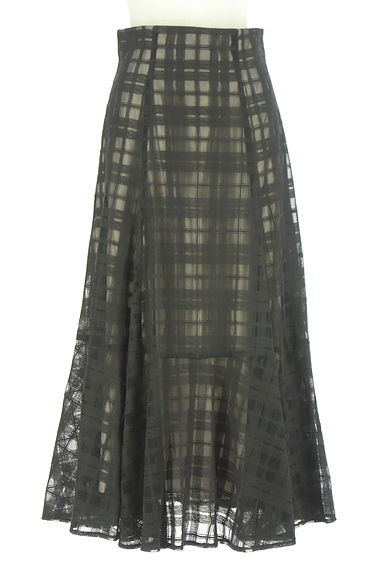 JUSGLITTY（ジャスグリッティー）の古着「チェック柄刺繍チュールロングスカート（ロングスカート・マキシスカート）」大画像１へ