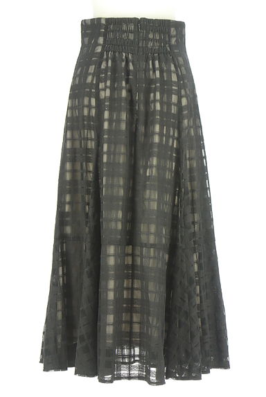 JUSGLITTY（ジャスグリッティー）の古着「チェック柄刺繍チュールロングスカート（ロングスカート・マキシスカート）」大画像２へ