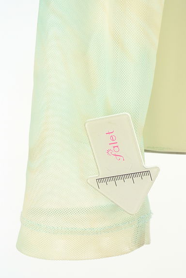 クリックで大画像表示 green label relaxing(グリーンレーベル リラクシング)の古着「マーブルシアーカットソー(カットソー・プルオーバー)」大画像5へ