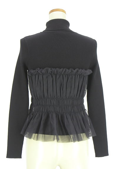 Apuweiser riche（アプワイザーリッシェ）の古着「チュールビスチェ付きタートルネックリブニットトップス（ニット）」大画像２へ