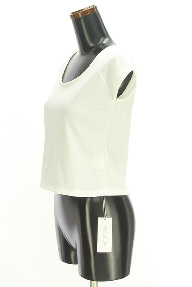 PROPORTION BODY DRESSING（プロポーションボディドレッシング）の古着「ラグランショートカットソー（カットソー・プルオーバー）」大画像３へ