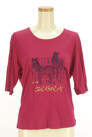 Chamois（シャミー）の古着「シマウマ刺繍半袖カットソー（カットソー・プルオーバー）」大画像１へ