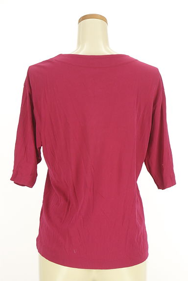 Chamois（シャミー）の古着「シマウマ刺繍半袖カットソー（カットソー・プルオーバー）」大画像２へ