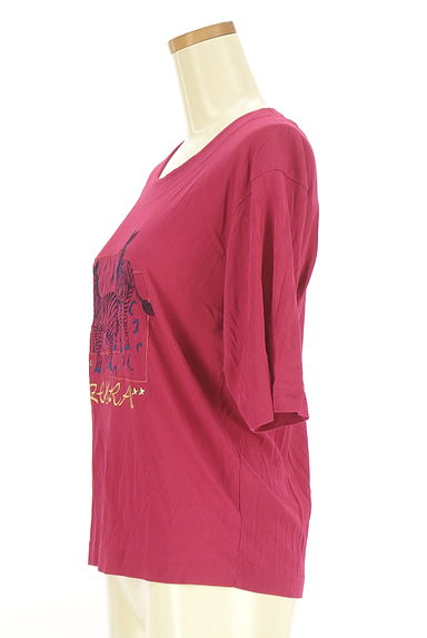 Chamois（シャミー）の古着「シマウマ刺繍半袖カットソー（カットソー・プルオーバー）」大画像３へ