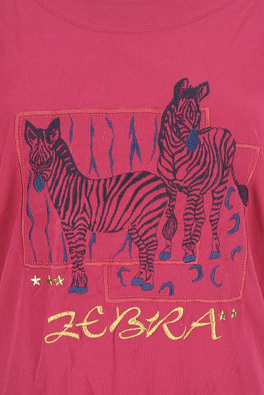 Chamois（シャミー）の古着「シマウマ刺繍半袖カットソー（カットソー・プルオーバー）」大画像４へ