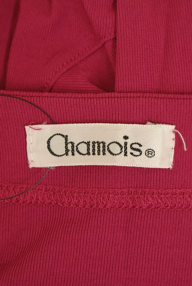 Chamois（シャミー）の古着「シマウマ刺繍半袖カットソー（カットソー・プルオーバー）」大画像６へ