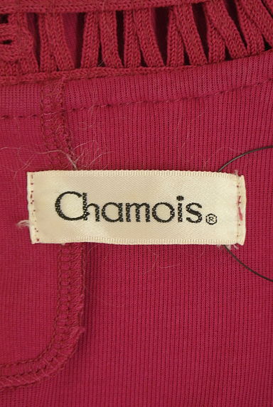 Chamois（シャミー）の古着「フレンチスリーブカットソー（カットソー・プルオーバー）」大画像６へ