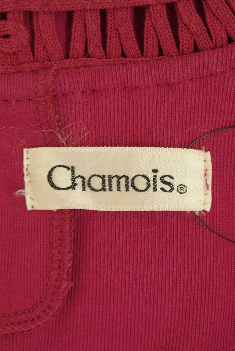 Chamois（シャミー）の古着「商品番号：PR10342255」-大画像6