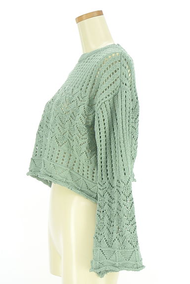 earth music&ecology（アースミュージック＆エコロジー）の古着「透かし編みショートニットトップス（ニット）」大画像３へ