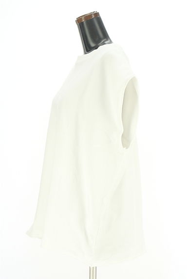 antiqua（アンティカ）の古着「ノースリスウェットトップス（カットソー・プルオーバー）」大画像３へ