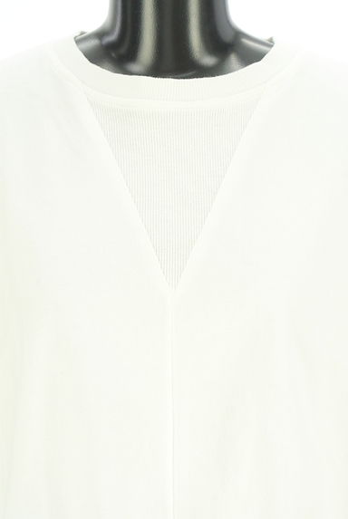 antiqua（アンティカ）の古着「ノースリスウェットトップス（カットソー・プルオーバー）」大画像４へ