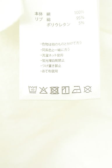 antiqua（アンティカ）の古着「ノースリスウェットトップス（カットソー・プルオーバー）」大画像５へ