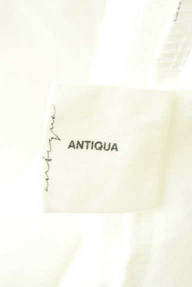 antiqua（アンティカ）の古着「ノースリスウェットトップス（カットソー・プルオーバー）」大画像６へ