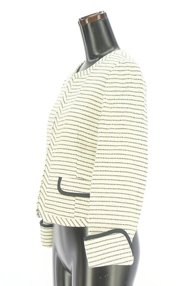 UNTITLED（アンタイトル）の古着「ボーダーツイード織ノーカラージャケット（ジャケット）」大画像３へ