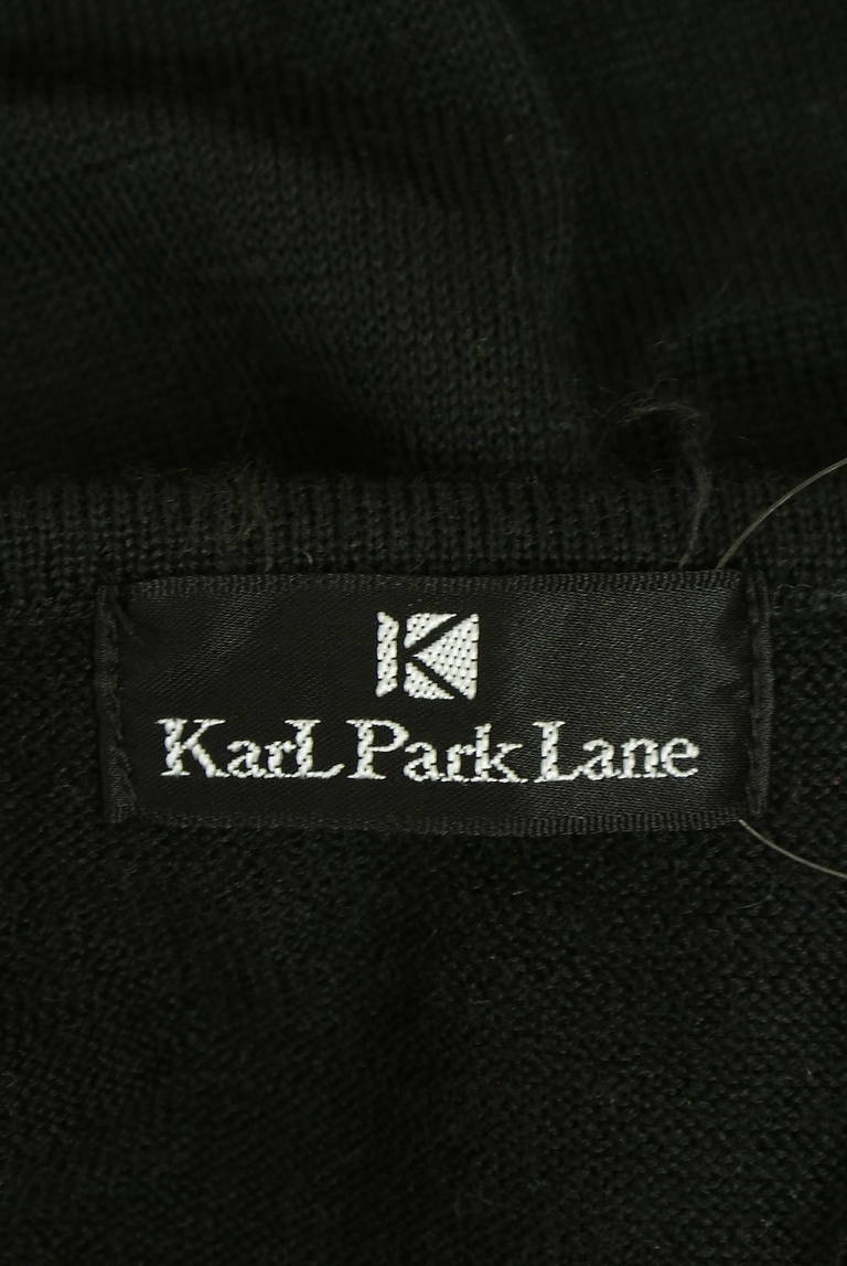KarL Park Lane（カールパークレーン）の古着「商品番号：PR10342584」-大画像6