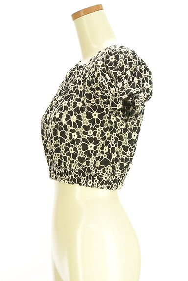 Darich（ダーリッチ）の古着「花刺繍クロップド丈トップス（カットソー・プルオーバー）」大画像３へ