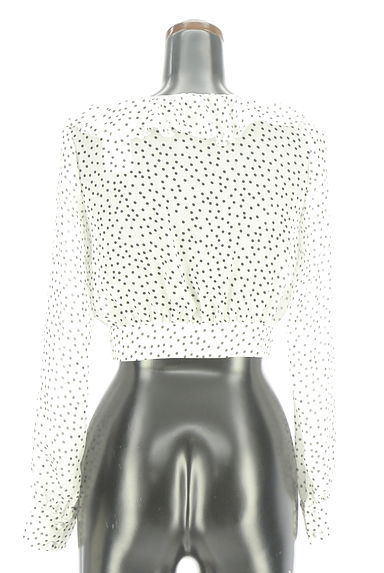 eimy istoire（エイミーイストワール）の古着「ドット柄シフォンブラウス（ブラウス）」大画像２へ