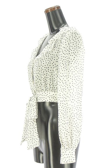 eimy istoire（エイミーイストワール）の古着「ドット柄シフォンブラウス（ブラウス）」大画像３へ