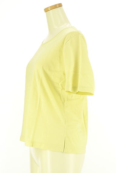 DAKS（ダックス）の古着「カットワーク刺繍入り半袖カットソー（カットソー・プルオーバー）」大画像３へ