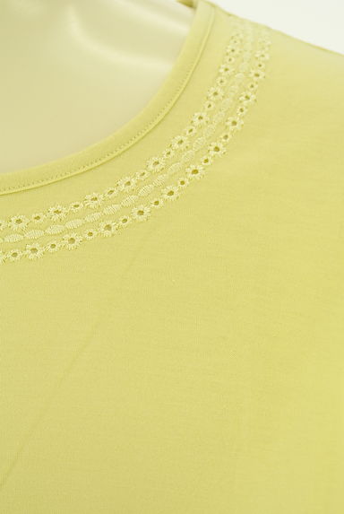 DAKS（ダックス）の古着「カットワーク刺繍入り半袖カットソー（カットソー・プルオーバー）」大画像４へ