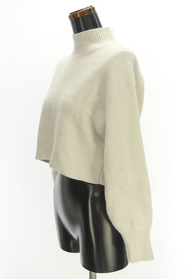 JUSGLITTY（ジャスグリッティー）の古着「ハイネックショートニット（ニット）」大画像３へ