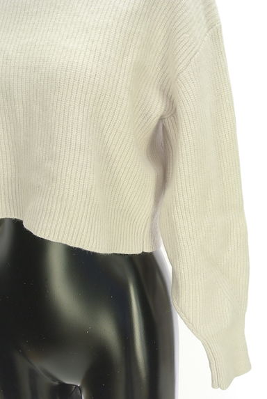 JUSGLITTY（ジャスグリッティー）の古着「ハイネックショートニット（ニット）」大画像５へ