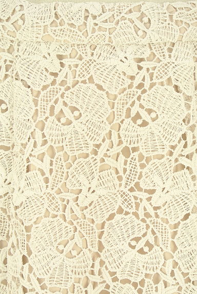 Maglie le cassetto（マーリエ ル カセット）の古着「刺繍レースロングフレアスカート（ロングスカート・マキシスカート）」大画像４へ