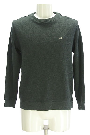 Crocodile（クロコダイル）の古着「スウェットライクニットトップス（ニット）」大画像１へ