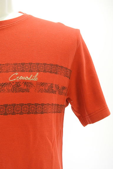 Crocodile（クロコダイル）の古着「鹿の子Tシャツ（ニット）」大画像４へ