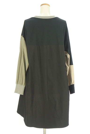 OSMOSIS（オズモーシス）の古着「別地切替配色カットソー（カットソー・プルオーバー）」大画像２へ