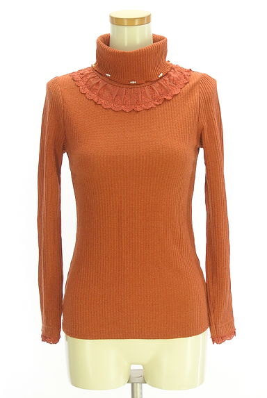 axes femme（アクシーズファム）の古着「刺繍レース付きタートルネックリブニット（ニット）」大画像１へ