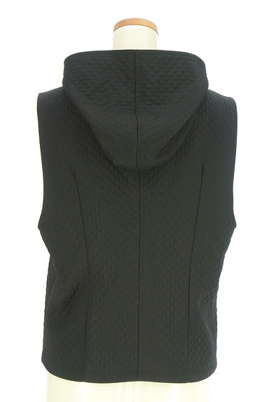 KarL Park Lane（カールパークレーン）の古着「リバーシブルベスト（ブルゾン・スタジャン）」大画像２へ