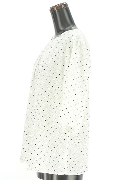 INDIVI（インディヴィ）の古着「スクエアドット×ピンドット 半そでカットソー（カットソー・プルオーバー）」大画像３へ